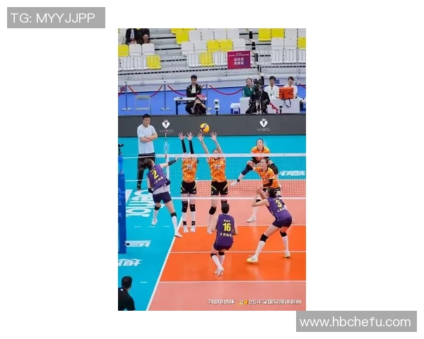 上海排球队在全国排球耐力排行榜中荣获第五名的佳绩分析