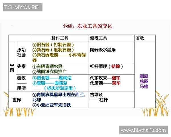 古代足球明星的传奇故事与历史影响探讨 古代足球明星的传奇故事与历史影响探讨